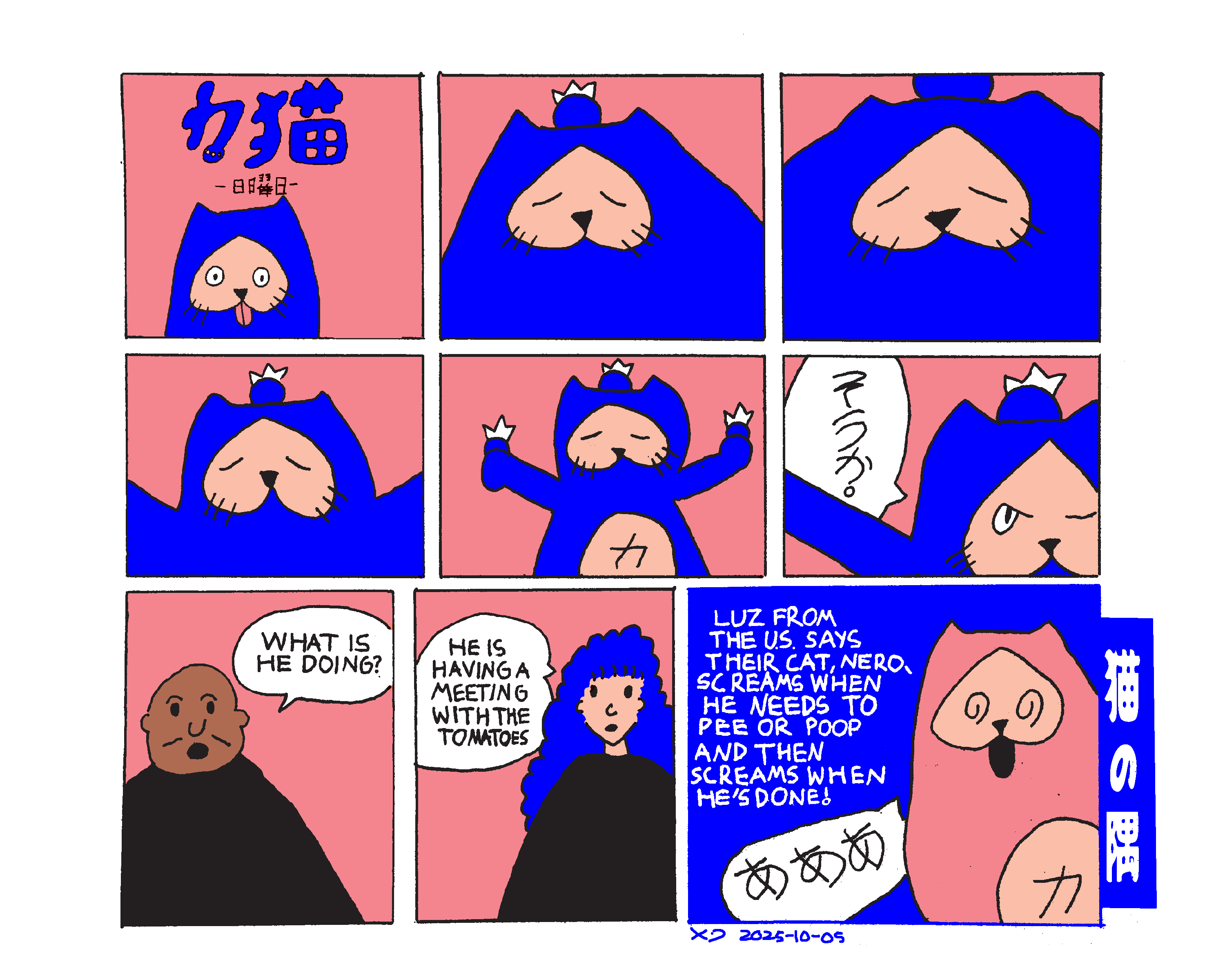 Nine panel comic showing power cat focusing with a blueberry on his head then he says is that right in Japanese. A man says what is he doing and then a woman replies he is having a meeting with the blueberries. The cat corner panel says Luz from the US says their cat Nero screams when he needs to pee or poop and then screams when he's done. Next to the text is a screaming pink power cat.  