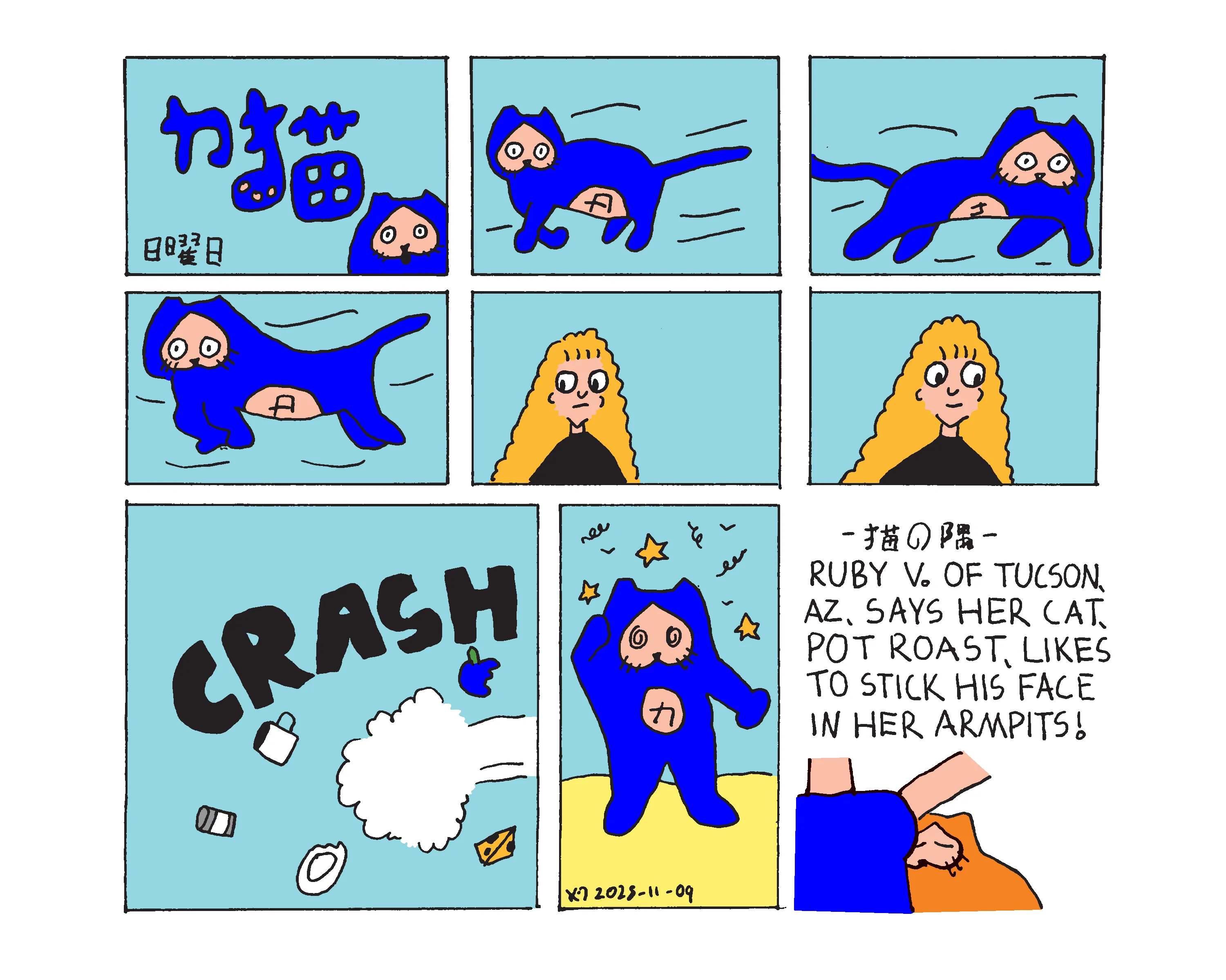 9 Panel power cat sunday comic showing power cat running back and forth because he has the zoomies. His owner watches him with both concern and amusement before he suddenly crashes sending a bunch of kitchen items flying across the room. He walks it off while very dizzy and seeing stars. The cat corner says Ruby V. of Tucson, AZ says her cat, Pot Roast, loves sticking his face in her armpits!  