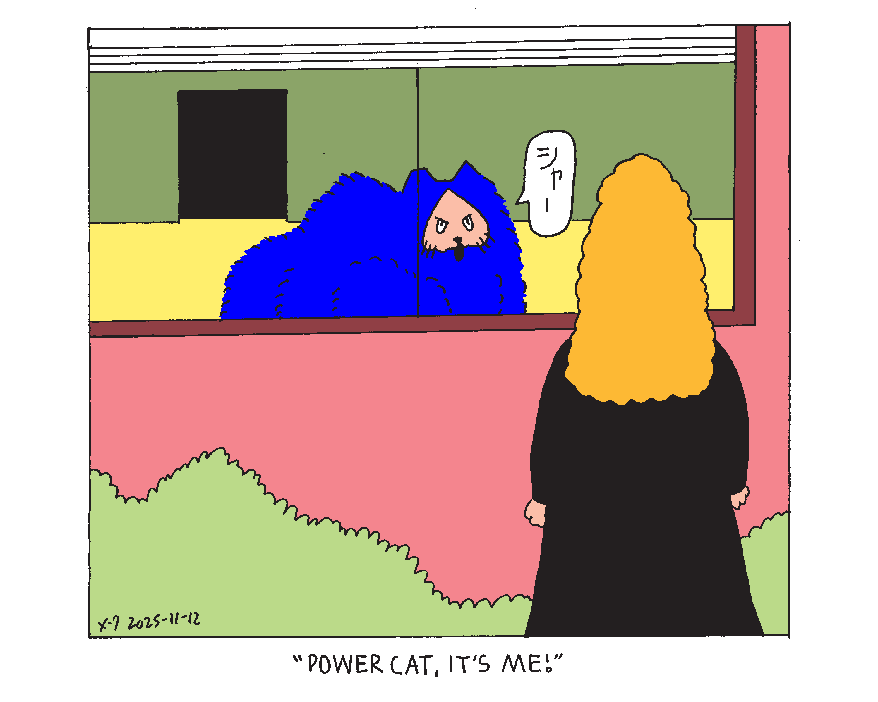 Evil Power Cat all puffed up and hissing while sitting in the window. His owner stands outside the window and says Evil Power Cat, it's me!