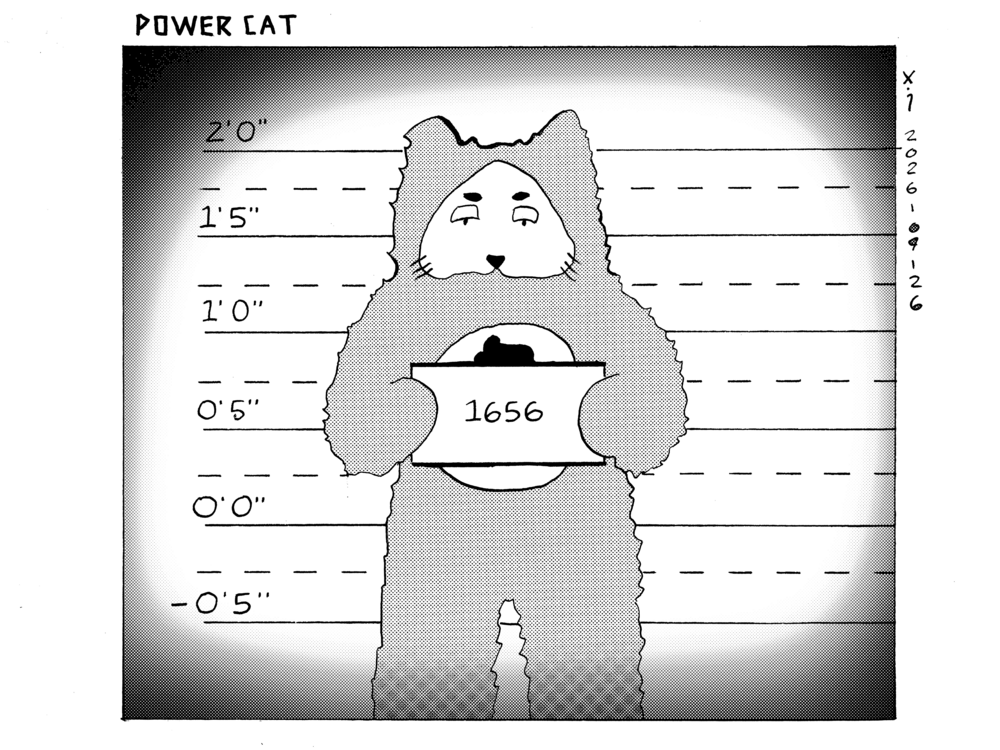 Evil Power Cat is in front a lineup wall at a police station holding up a mugshot sign with the number 1656 on it. He looks unhappy.  