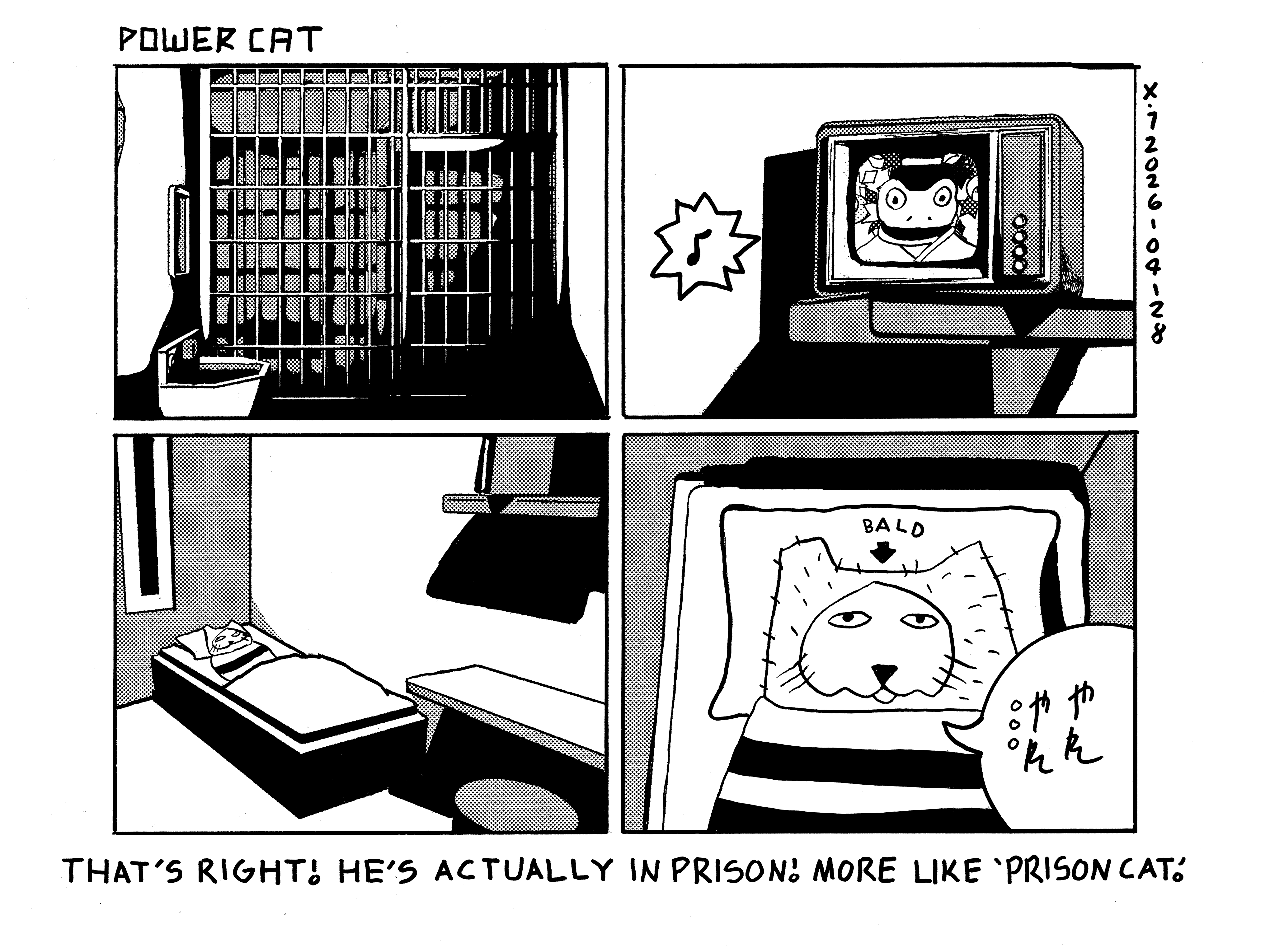 Four panel comic showing a shot of prison cell bars from the inside with a mirror and a sink toilet combo in front of it. The next panel shows the frog Evil Power Cat and Rebecca always make fun of doing his song and dance on TV. The third panel shows Evil Power Cat laying in the prison bed from afar. Final panel is a closeup on power cat from above who is shaved, wearing a prison uniform, and looks very unhappy. There's an arrow that says bald pointing to his head and he says good grief in Japanese. The caption says That's right he's in prison! more like prison cat. 