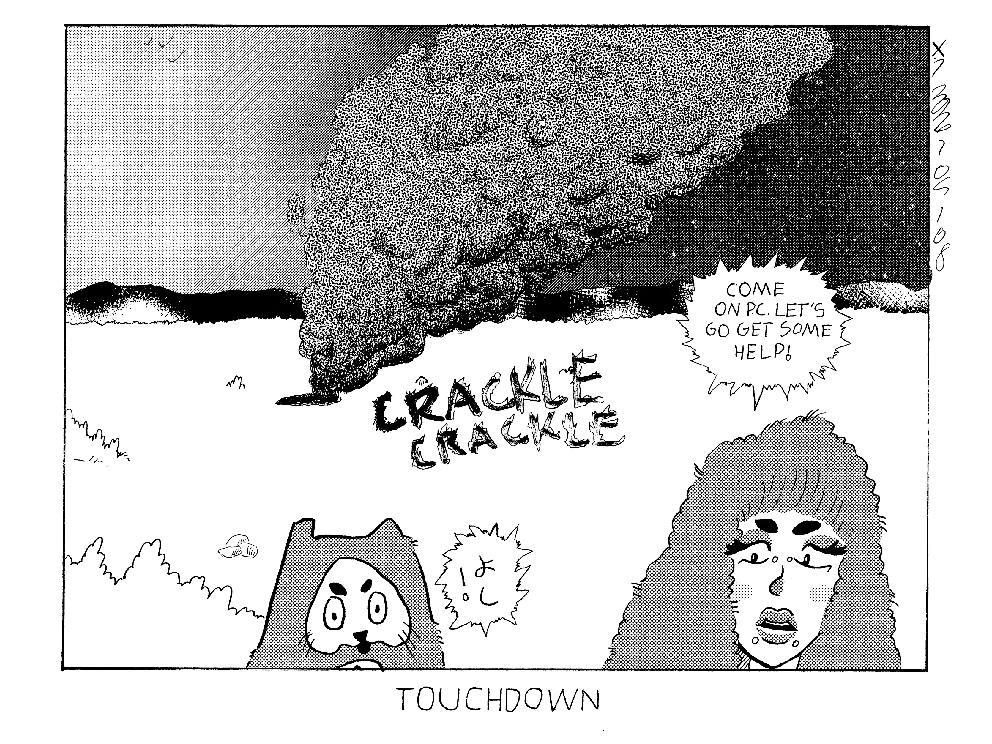 There's smoke billowing from a crater in the desert at night. Evil Power Cat and Rosie are in the foreground quite a bit a ways away from the crater and Rosie shouts come on P.C. let's go get some help! Evil Power Cat replies alright! in Japanese. Caption says touchdown.