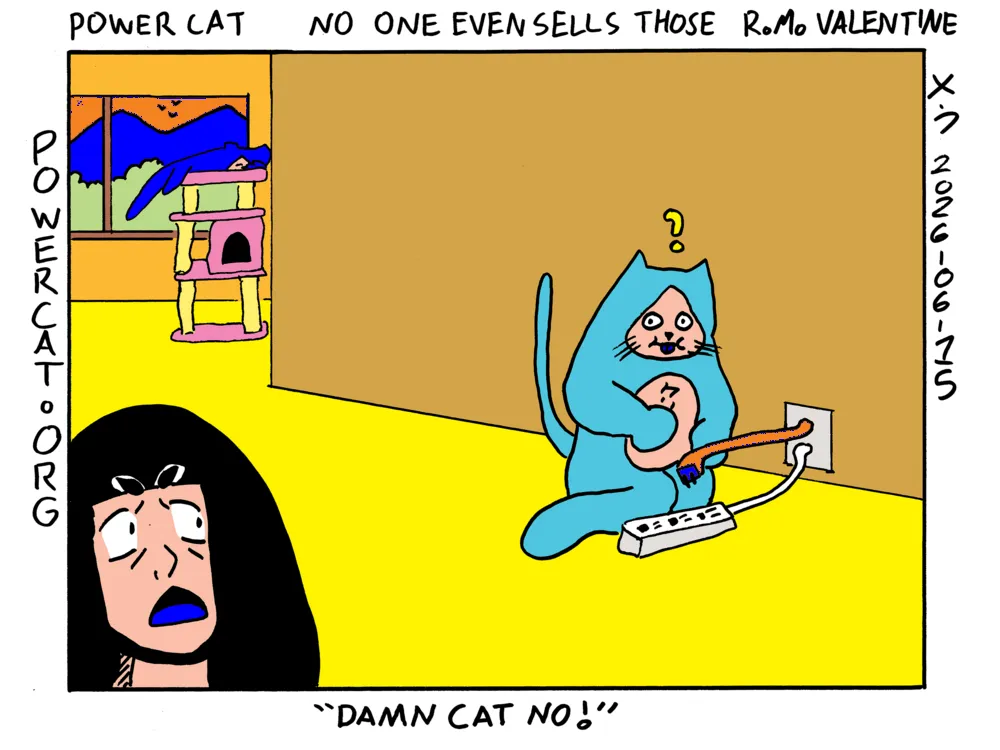 Rebecca is shocked and yells Damn Cat No! Damn Cat appears to have acquired a male to male power cable and is about to plug it into a surge protector that is also plugged in to the same wall. Damn Cat stops and looks at Rebecca in confusion. Evil Power Cat is sleeping in the background on a cat tree in front of the window. Strip title says no one even sells those. 