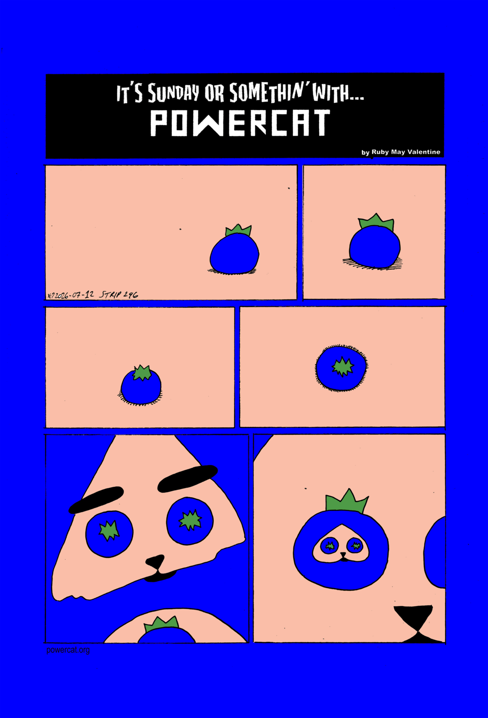 The scene starts on a blueberry on a pale flesh colored field. The camera slightly rotates showing a different but not very unique angle. The blueberry is then seen from a top down perspective but slightly angled, and then finally it is seen directly from above. It turns out that the blueberry is one of Evil Power Cat's eyes and now you can see that his eyes are both blueberries. Finally it Shows that power cat's face is on a blueberry, and he has blueberry eyes, and blueberry eyed blueberry bodied power cat is the blueberry eyes of power cat 