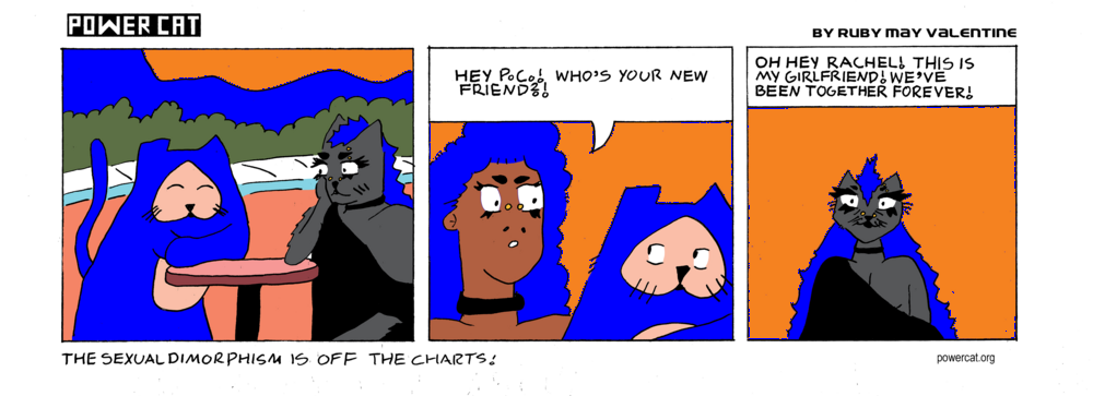 Evil Power Cat is standing at a table with a goth cat girl. Rachel walks up and says hey PC! Who's your new friend! Evil Power Cat says oh hey rachel! This is my girlfriend! We've been together forever! caption says the sexual dimorphism is of the charts!  