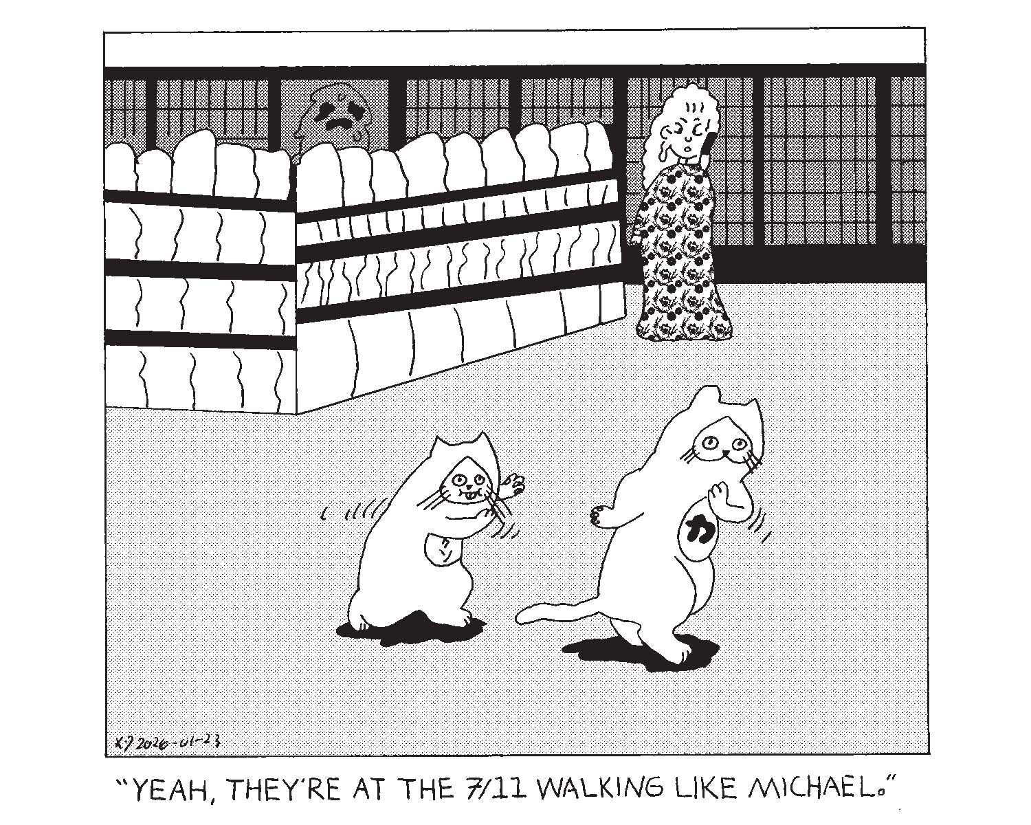 strip from 2026/01/23
