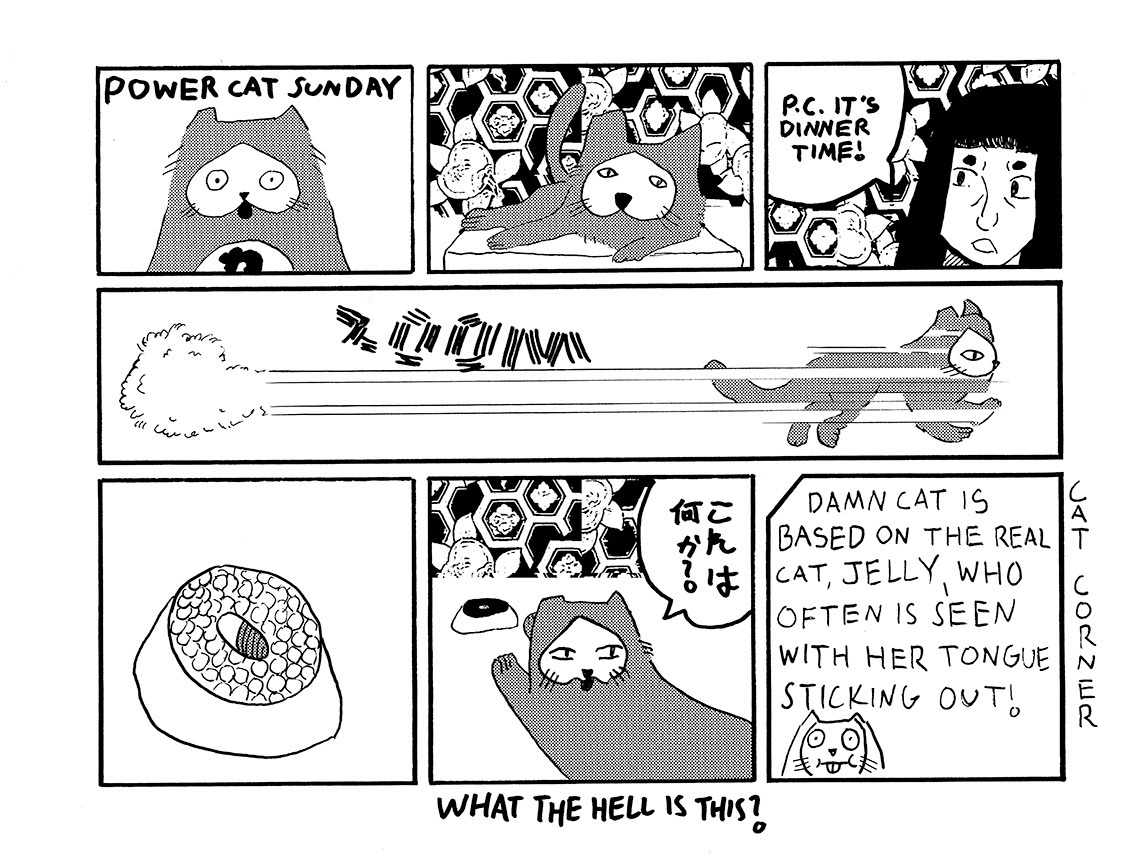 strip from 2026/05/17
