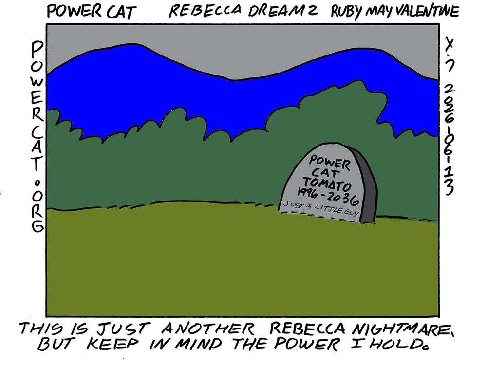 strip from 2026/06/13