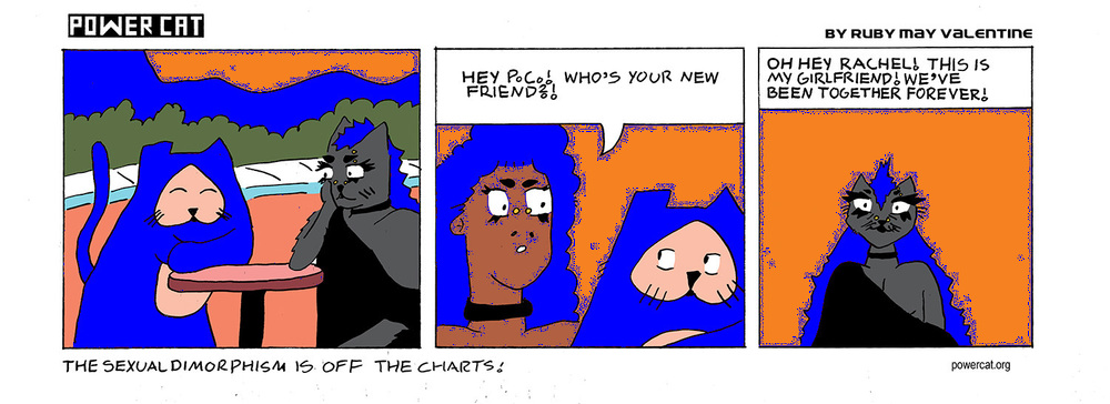 strip from 2026/07/14